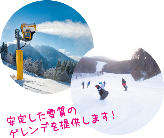 安定した雪質のゲレンデを提供します！