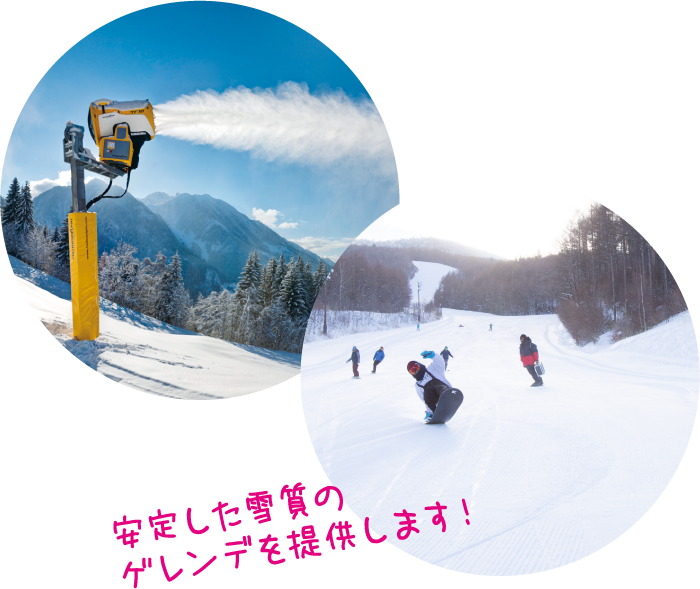 安定した雪質のゲレンデを提供します！