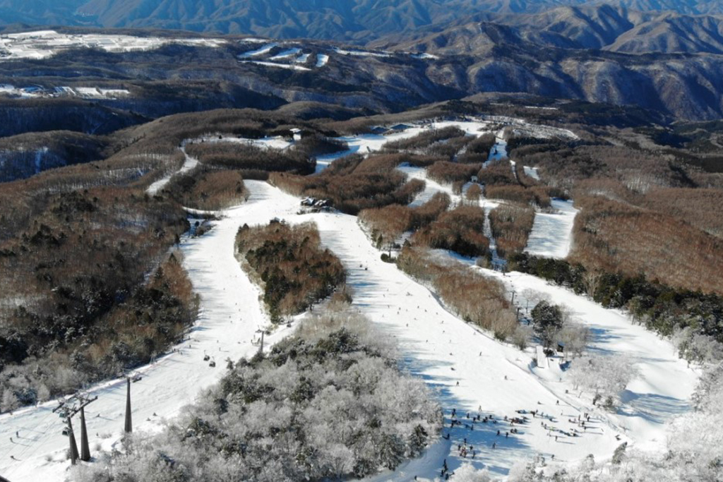 ハンターマウンテン&たんばら&富士見パノラマ等の東急スノーリゾート大人リフト1日券1枚価格(数量1)有効期限=～2019シーズン終了 首都圏最大級のスキー＆スノーボードリゾート、ハンターマウンテン塩原