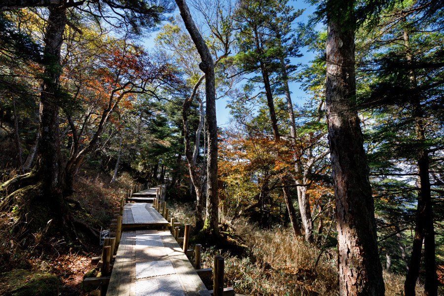 那須紅葉ゴンドラの遊歩道
