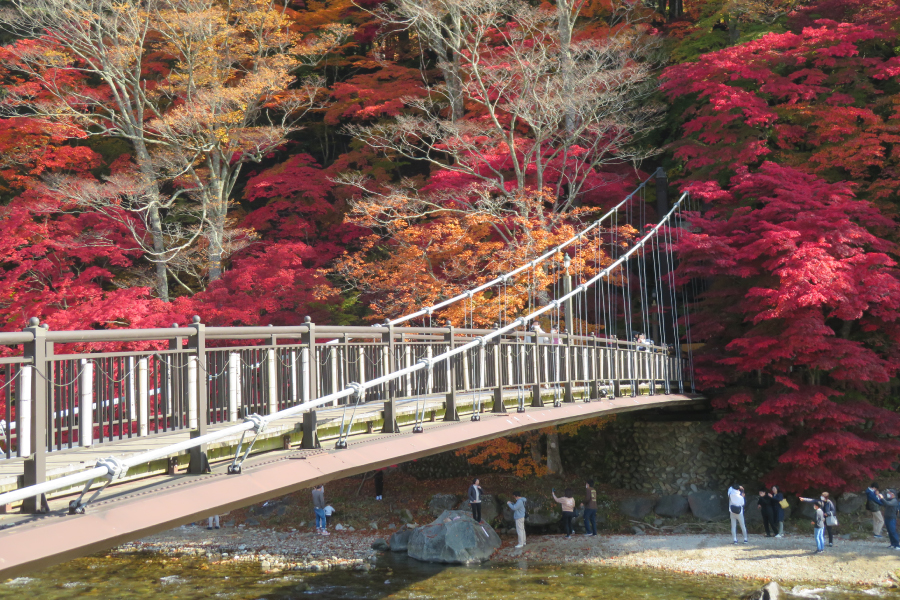 那須紅葉ゴンドラ近くの紅の吊橋（箒川、塩原渓谷）