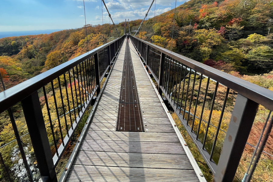 那須紅葉ゴンドラ近くのつつじつり橋（那須高原）