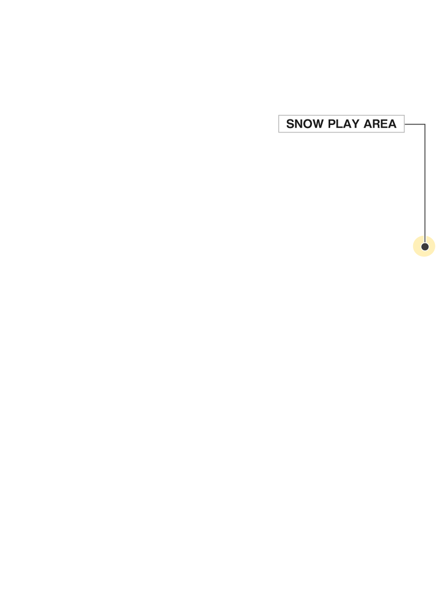 SNOW PLAY AREA